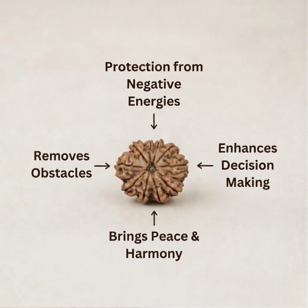 Mahakal Siddh Nepal Origin 10 Mukhi Rudraksha