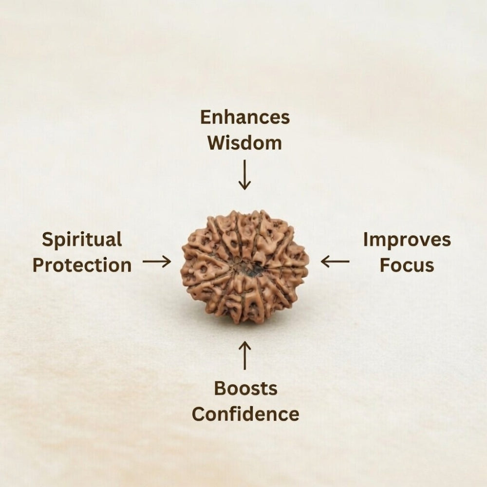 Mahakal Siddh Nepal Origin 11 Mukhi Rudraksha
