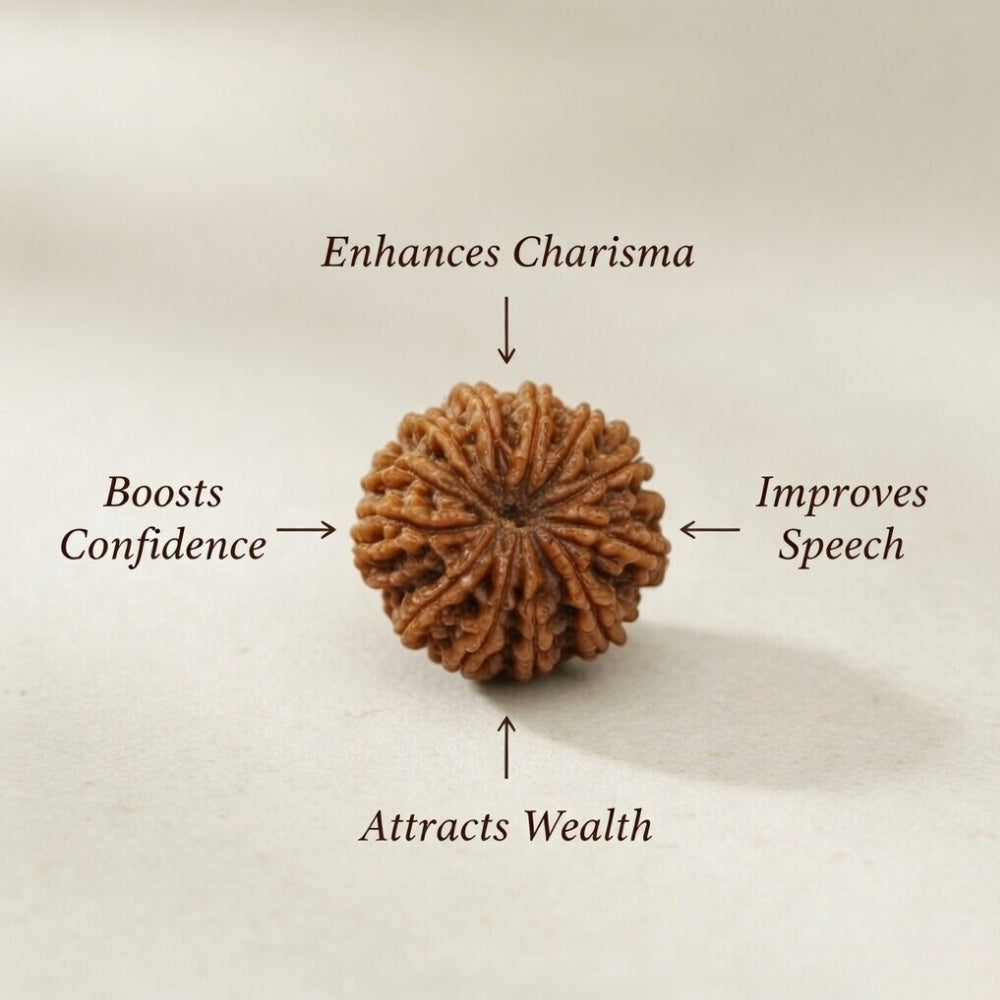 Mahakal Siddh Nepal Origin 13 Mukhi Rudraksha