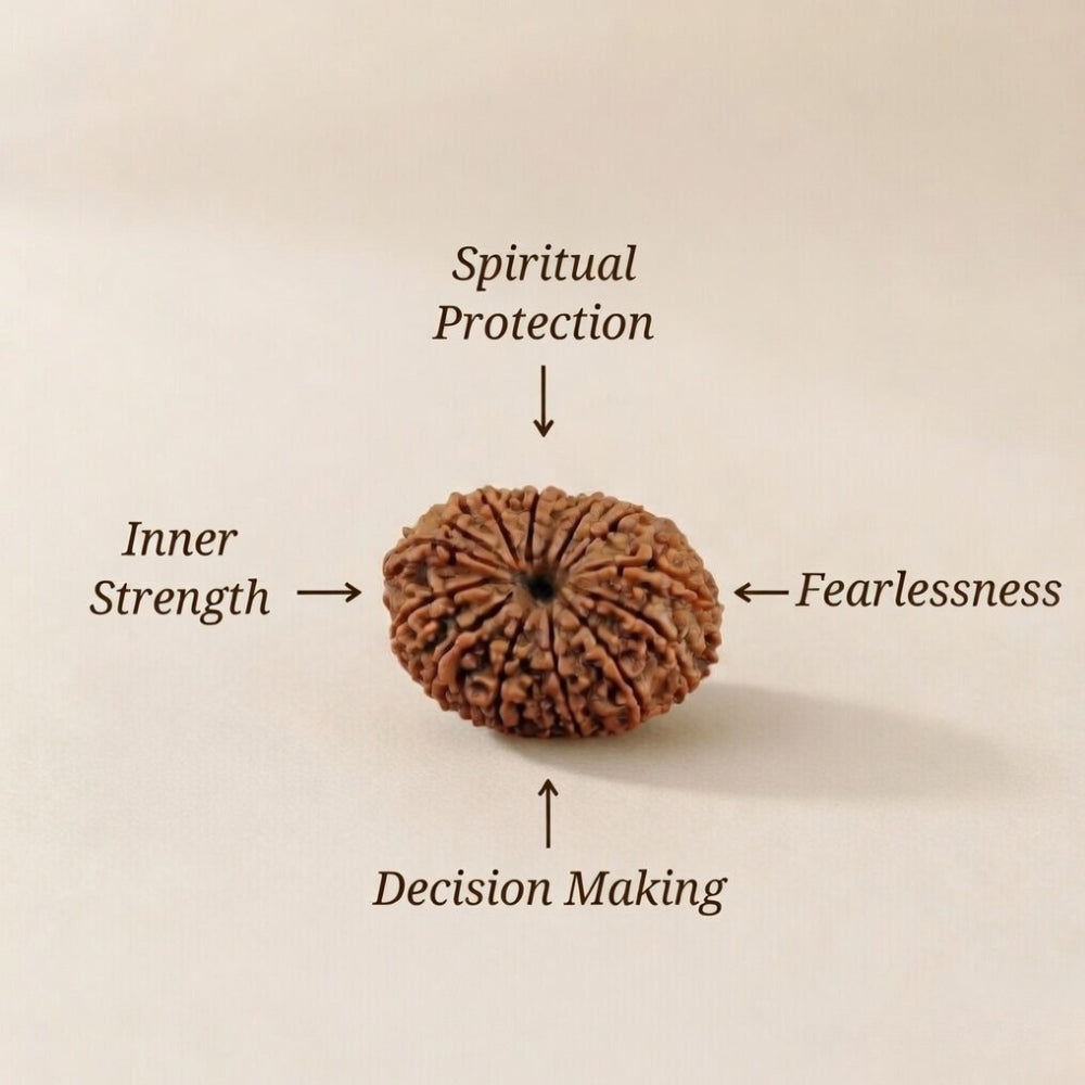 Mahakal Siddh Nepal Origin 14 Mukhi Rudraksha