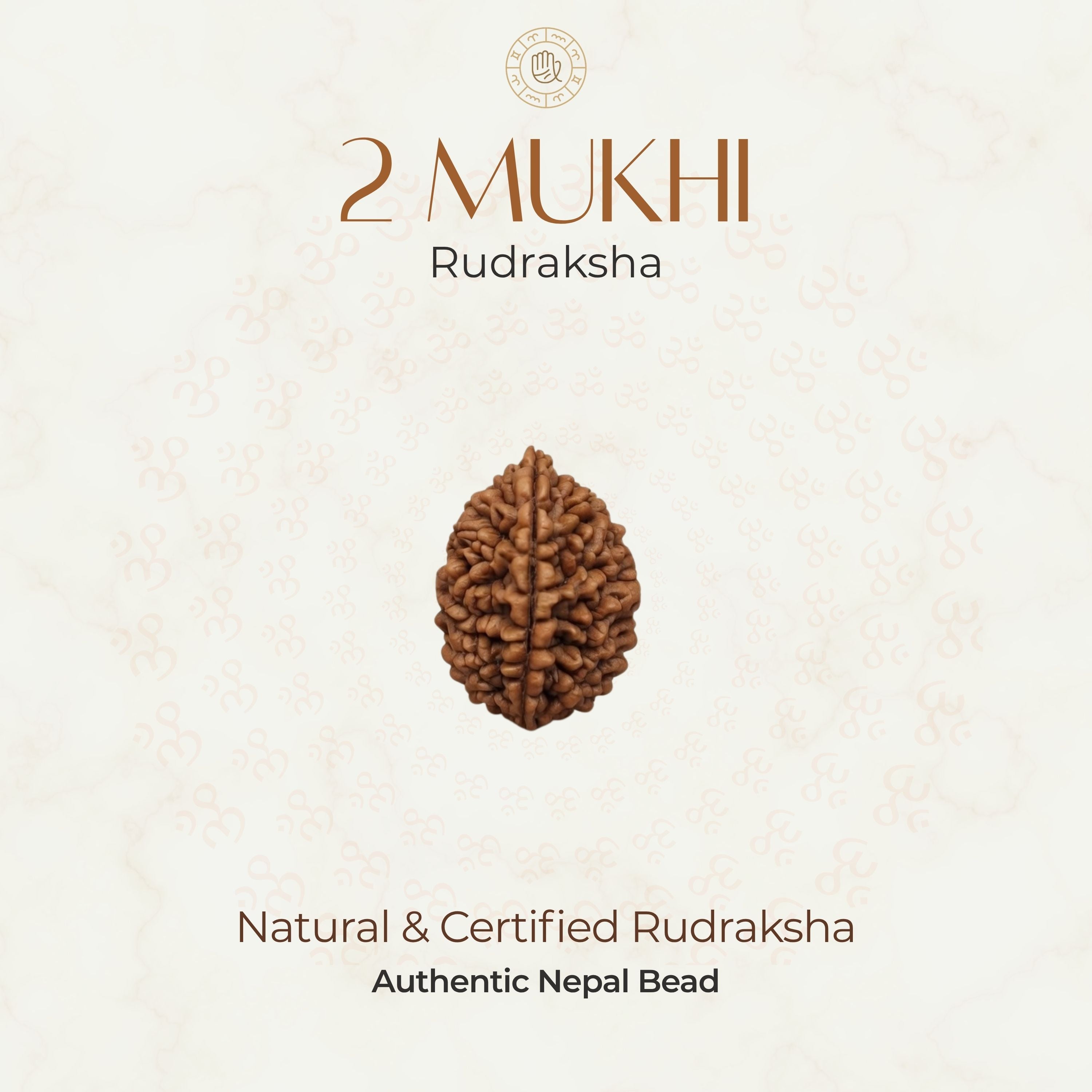 Mahakal Siddh Nepal Origin 2 Mukhi Rudraksha