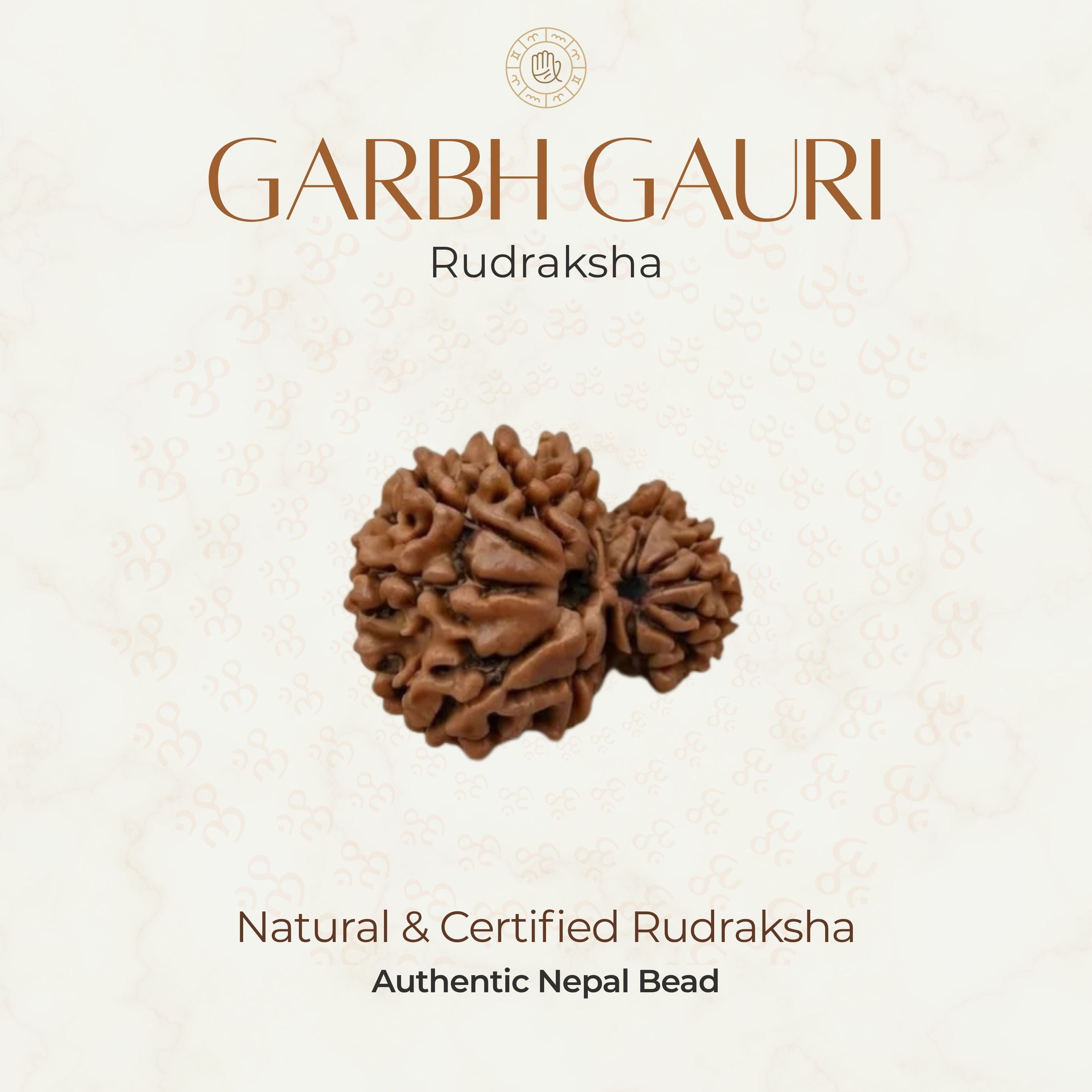 Mahakal Siddh Nepal Origin Garbh Gauri Rudraksha