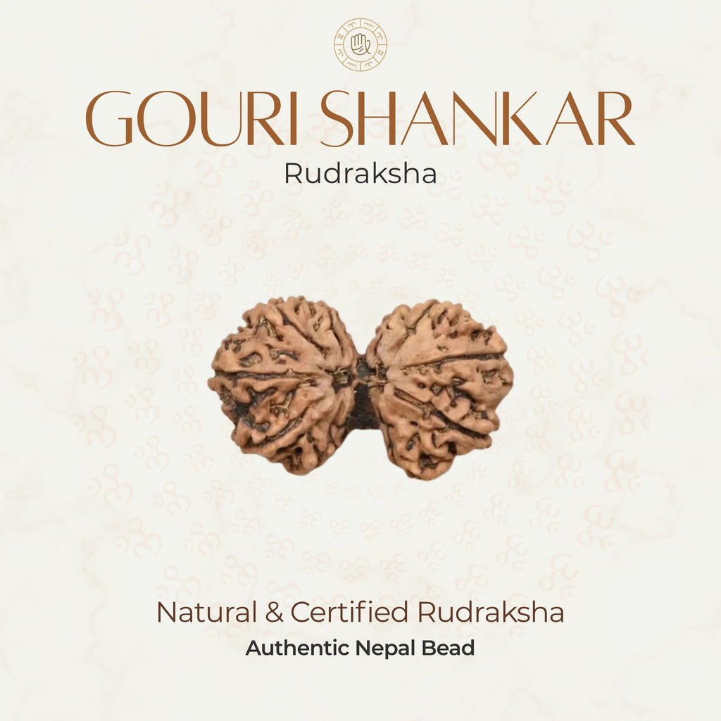 Mahakal Siddh Nepal Origin Gouri Shankar Rudraksha