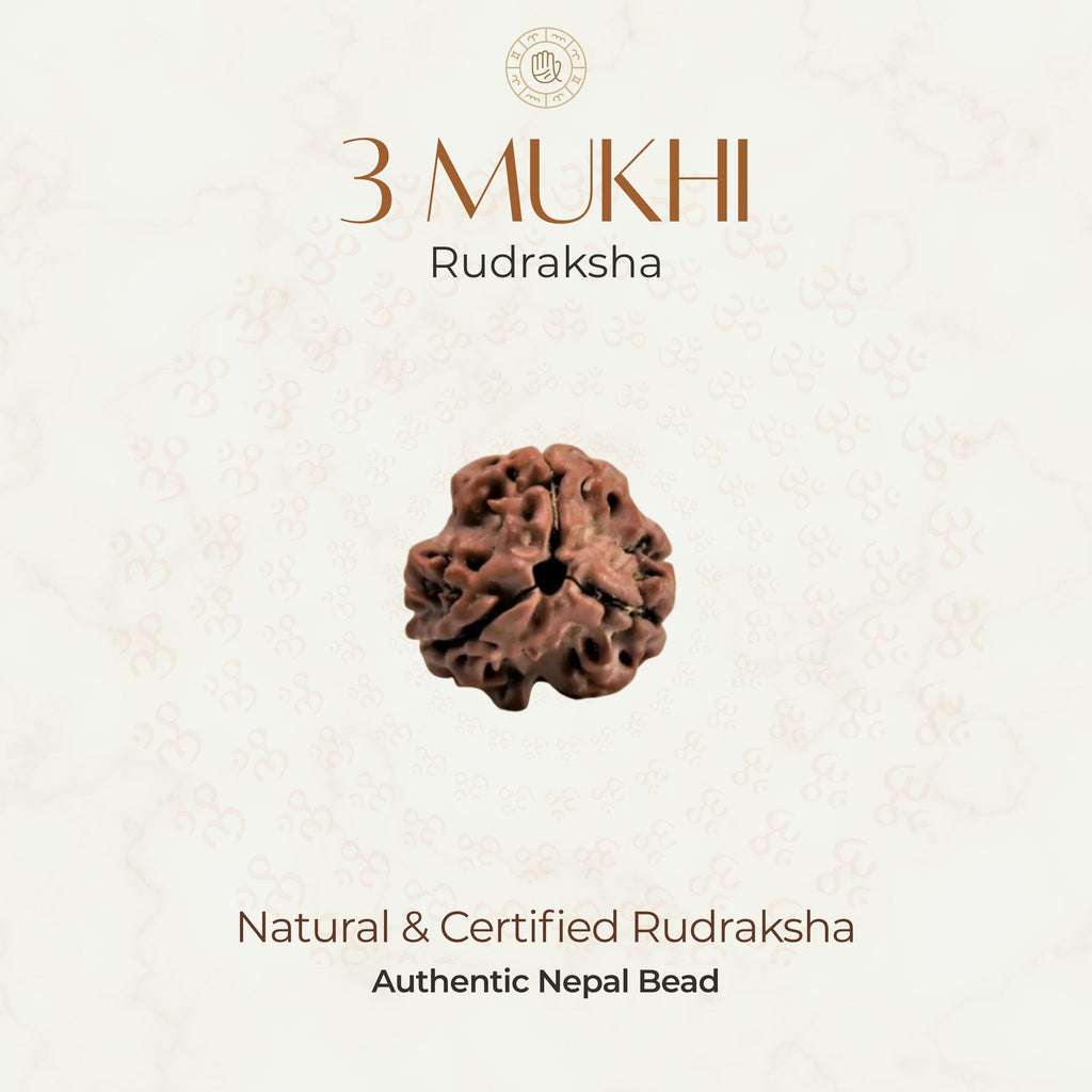 Mahakal Siddh Nepal Origin 3 Mukhi Rudraksha