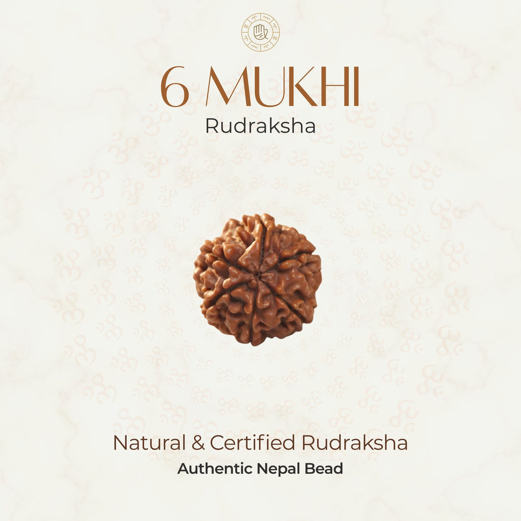 Mahakal Siddh Nepal Origin 6 Mukhi Rudraksha