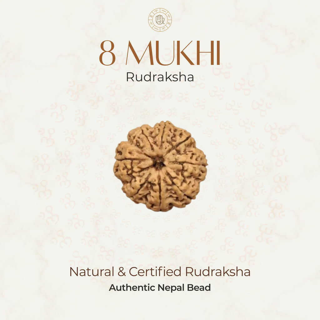 Mahakal Siddh Nepal Origin 8 Mukhi Rudraksha