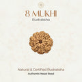 Mahakal Siddh Nepal Origin 8 Mukhi Rudraksha