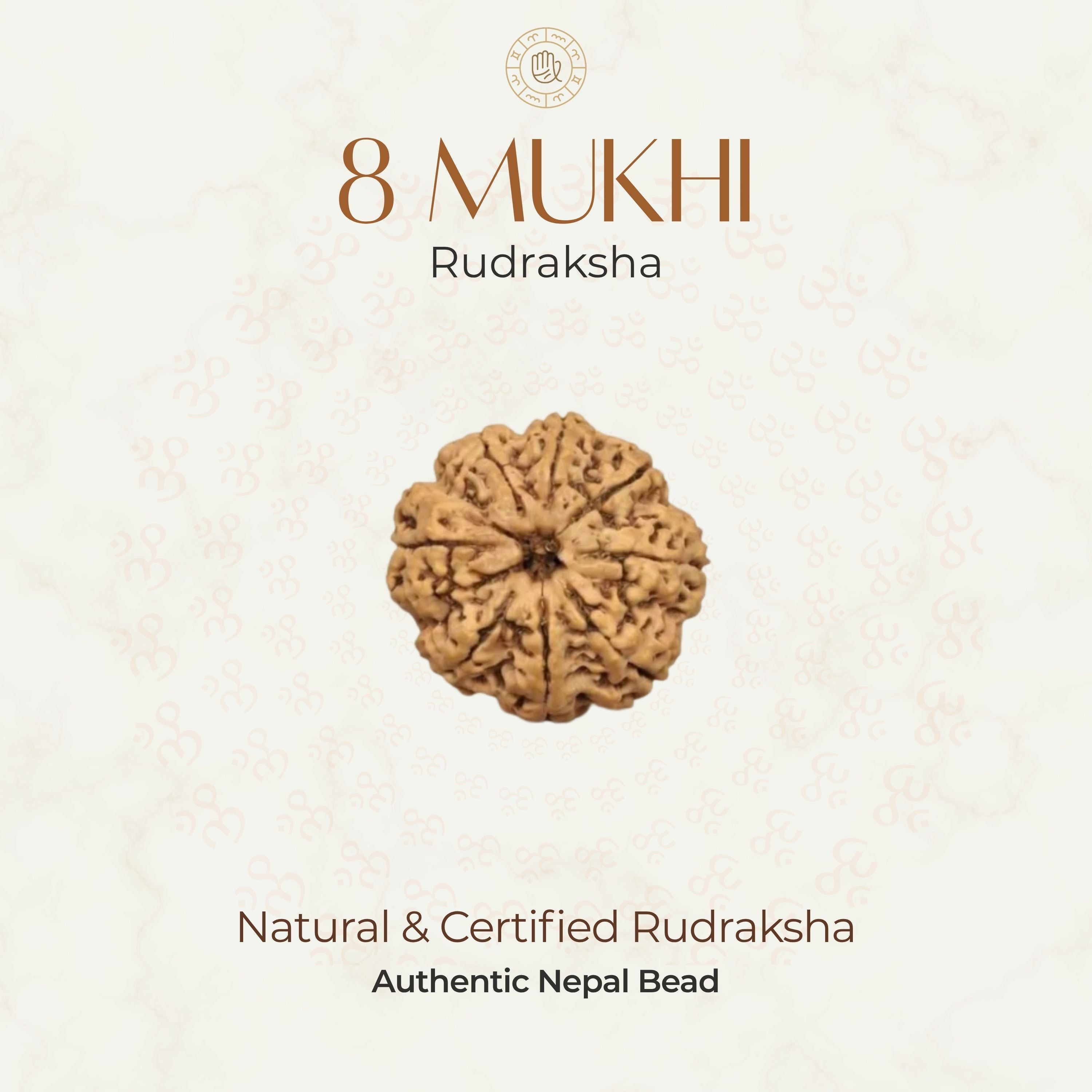 Mahakal Siddh Nepal Origin 8 Mukhi Rudraksha