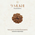Mahakal Siddh Nepal Origin 9 Mukhi Rudraksha