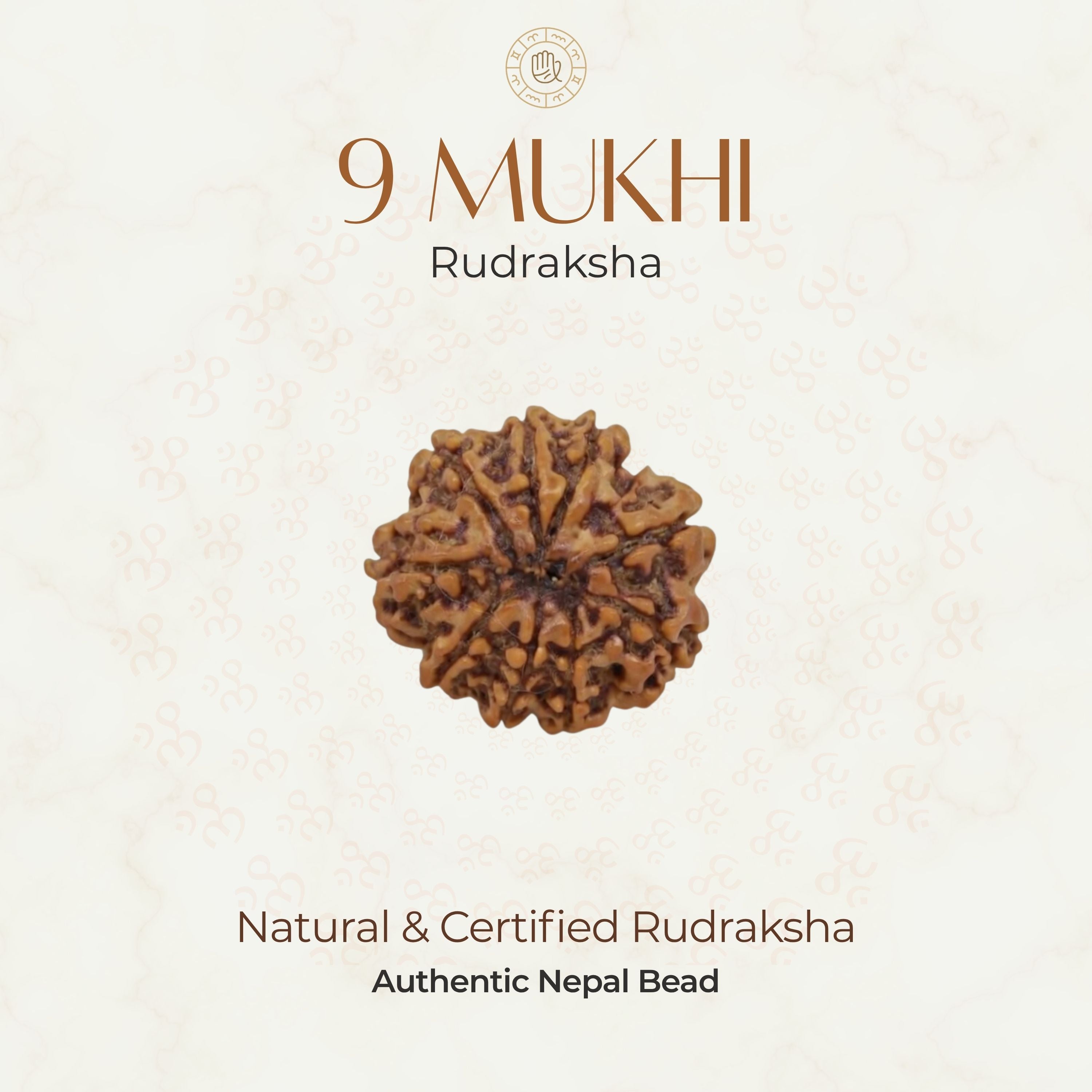 Mahakal Siddh Nepal Origin 9 Mukhi Rudraksha