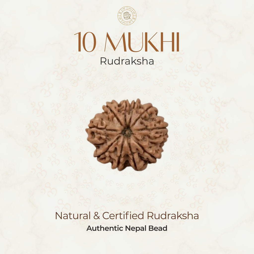 Mahakal Siddh Nepal Origin 10 Mukhi Rudraksha