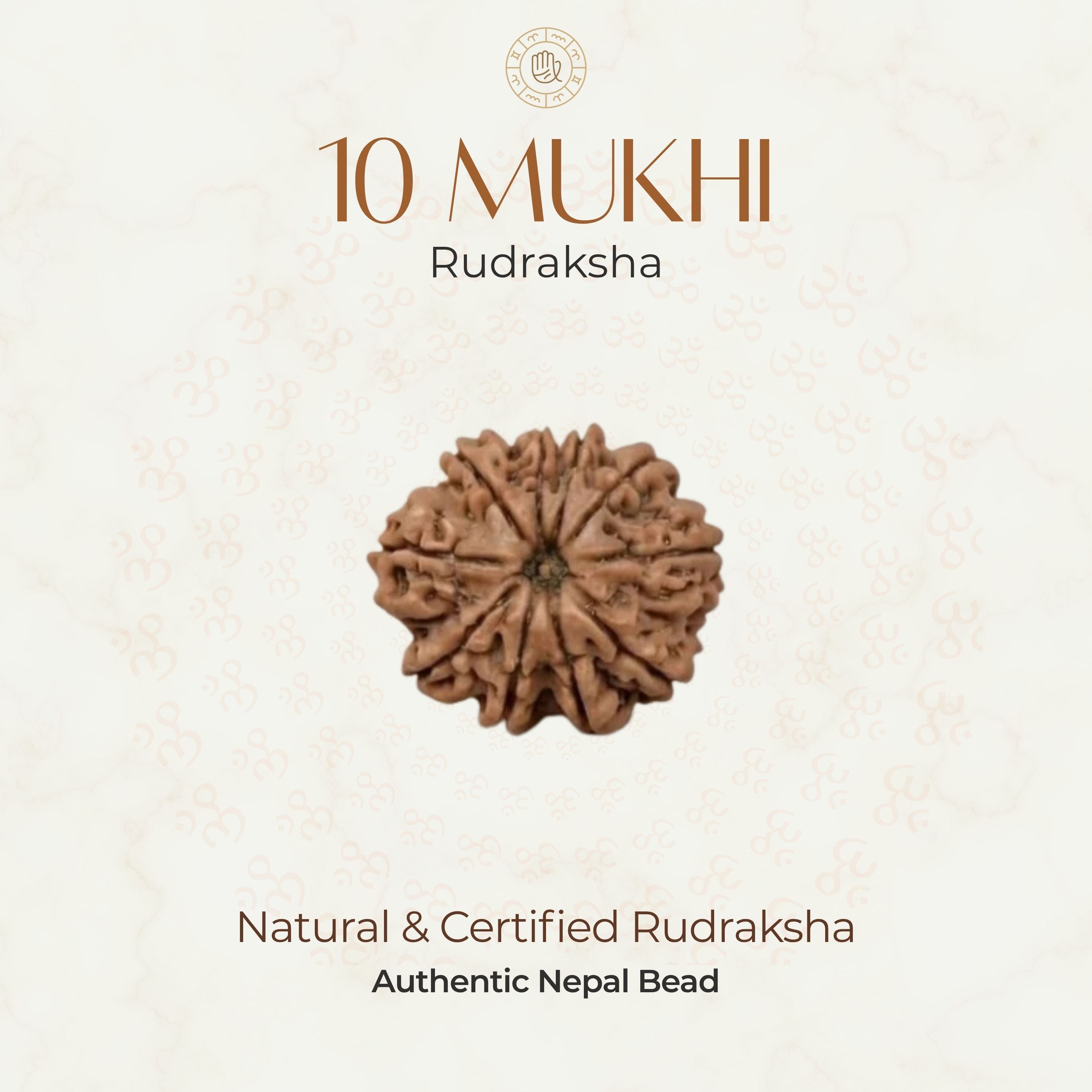 Mahakal Siddh Nepal Origin 10 Mukhi Rudraksha