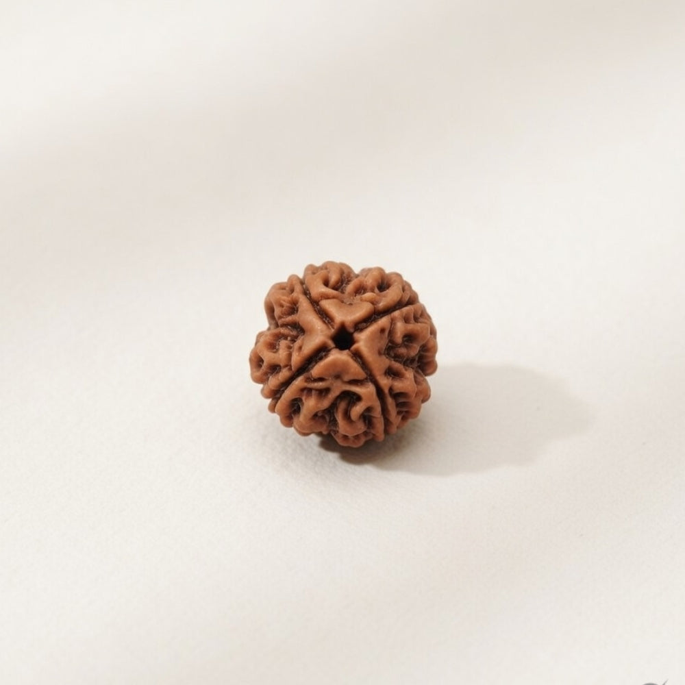 Mahakal Siddh Nepal Origin 4 Mukhi Rudraksha