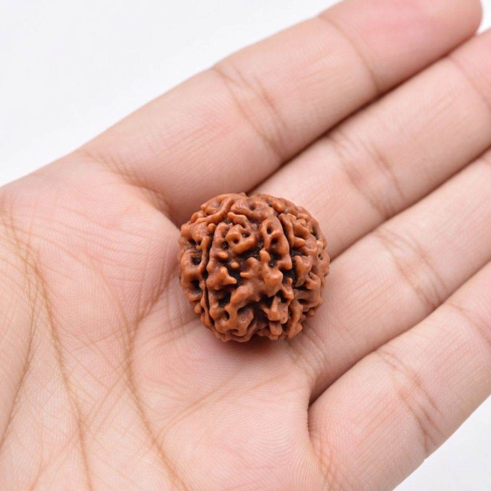 Mahakal Siddh Nepal Origin 4 Mukhi Rudraksha