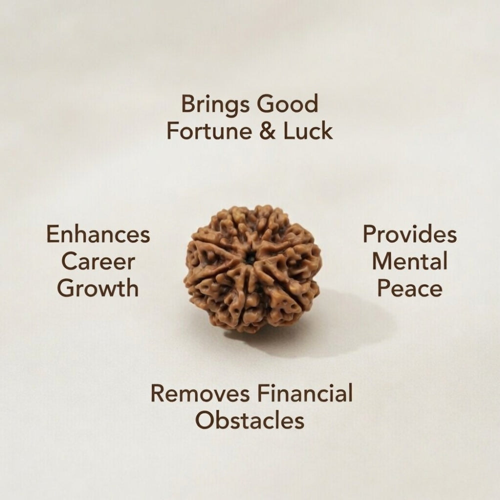 Mahakal Siddh Nepal Origin 7 Mukhi Rudraksha