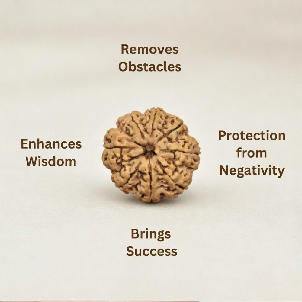 Mahakal Siddh Nepal Origin 8 Mukhi Rudraksha