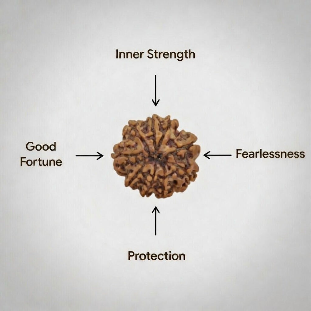 Mahakal Siddh Nepal Origin 9 Mukhi Rudraksha