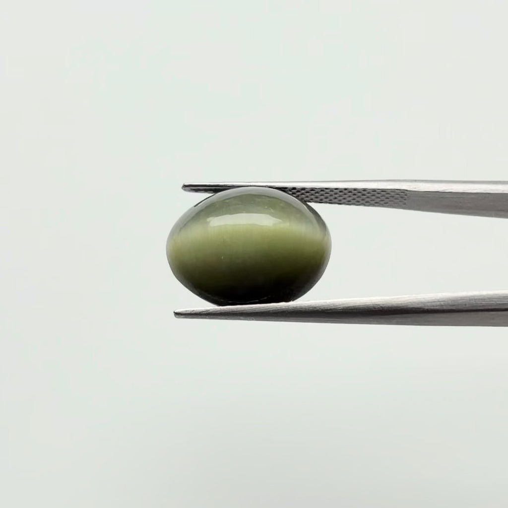 Cat's Eye (Lehsuniya)