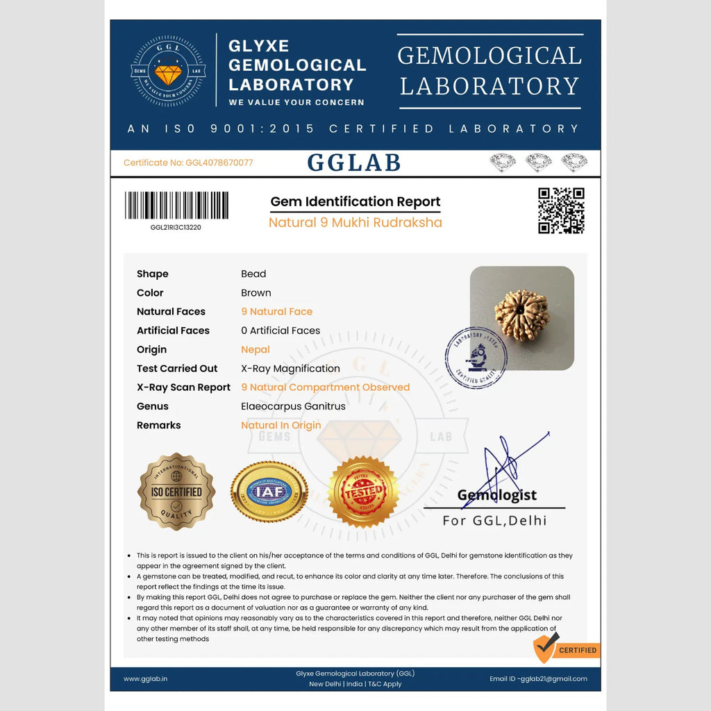 Mahakal Siddh Nepal Origin 9 Mukhi Rudraksha