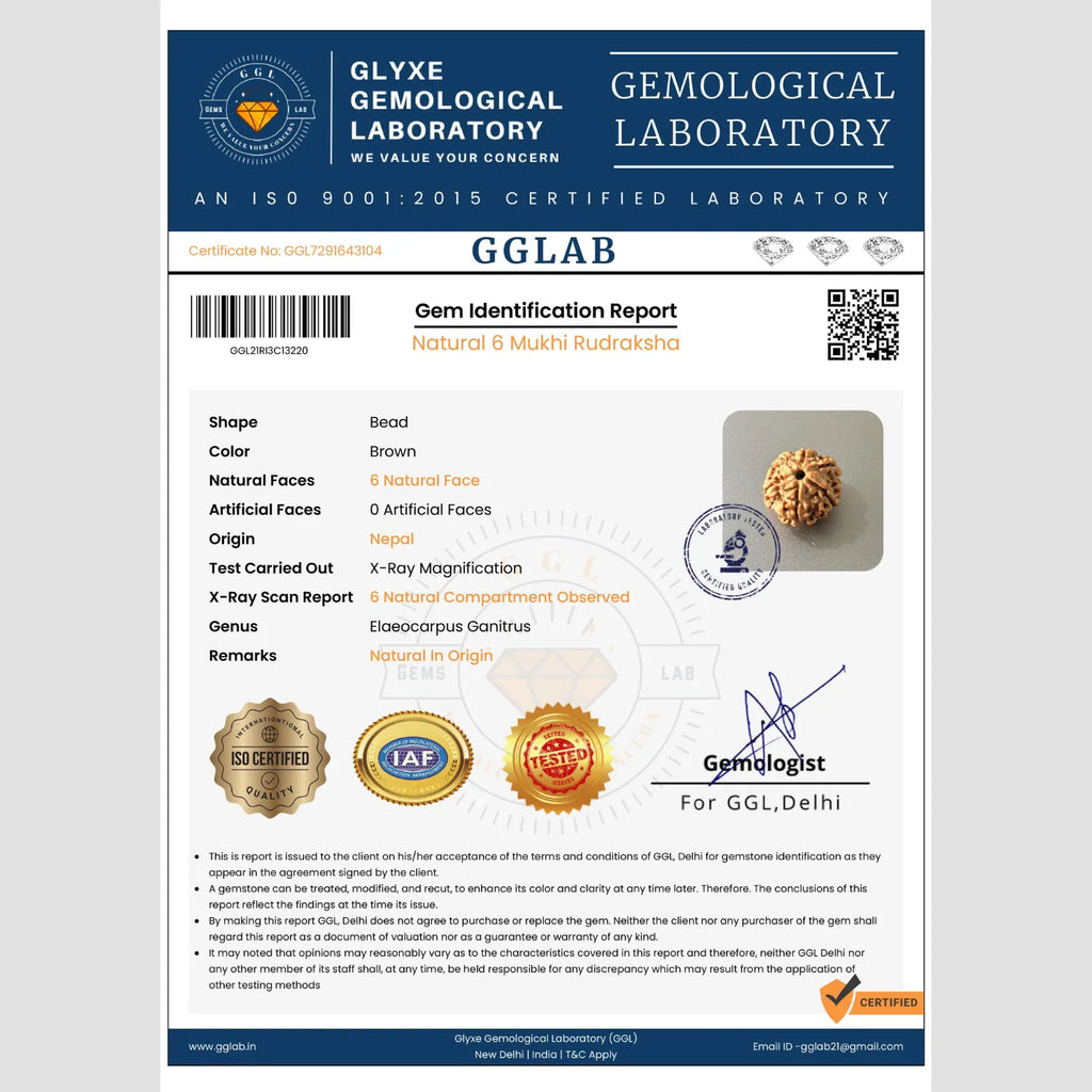 Mahakal Siddh Nepal Origin 6 Mukhi Rudraksha