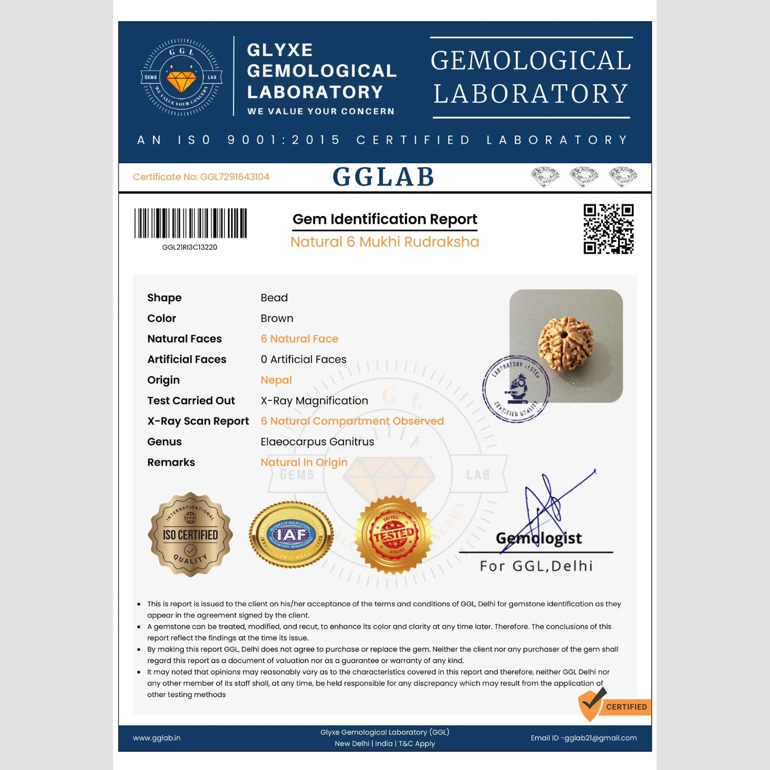 Mahakal Siddh Nepal Origin 6 Mukhi Rudraksha