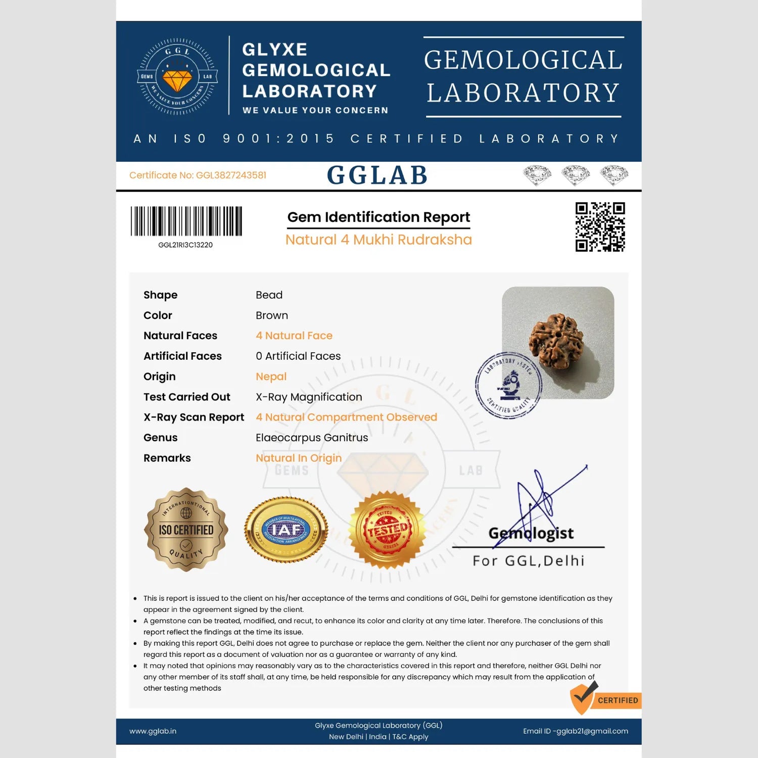 Mahakal Siddh Nepal Origin 4 Mukhi Rudraksha