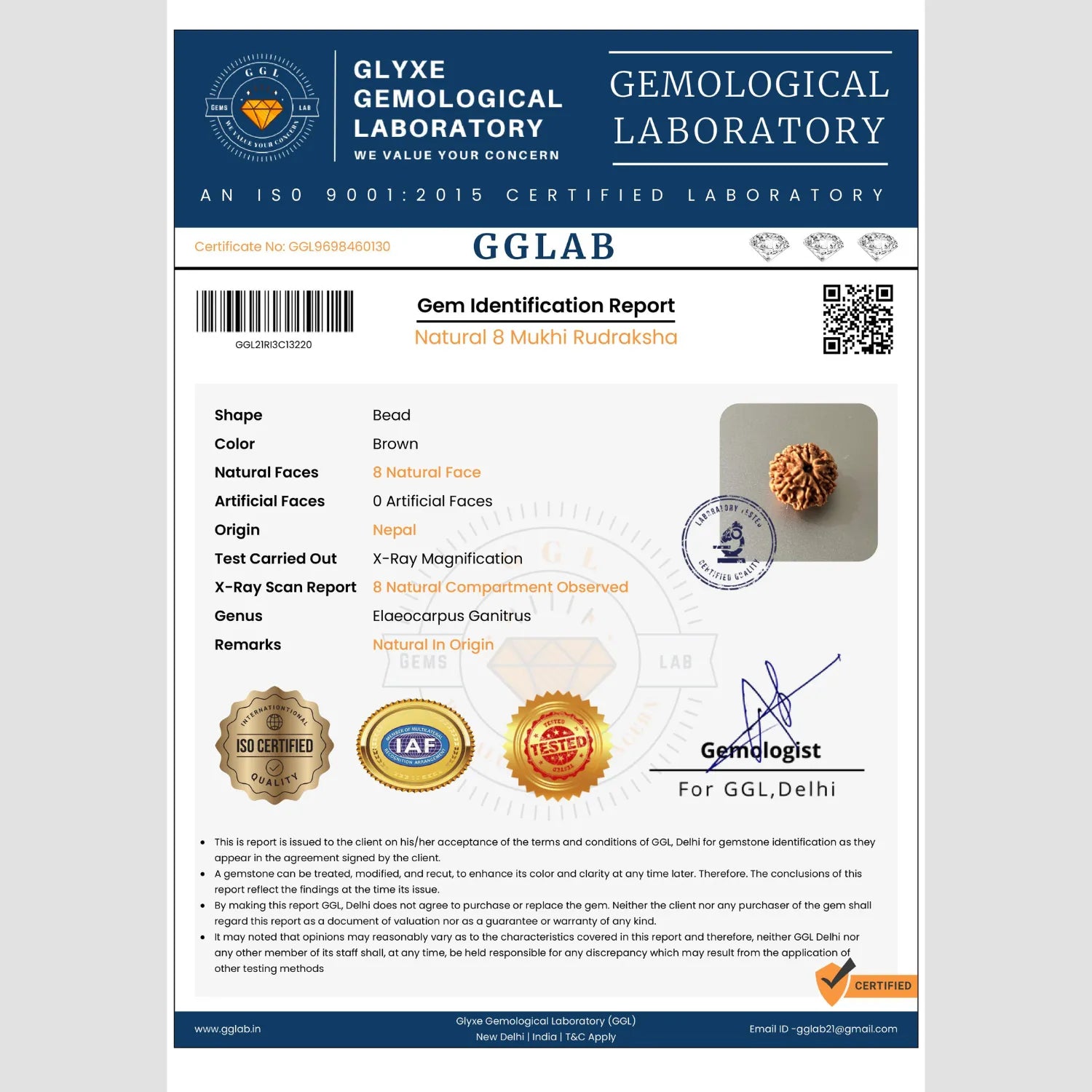 Mahakal Siddh Nepal Origin 8 Mukhi Rudraksha