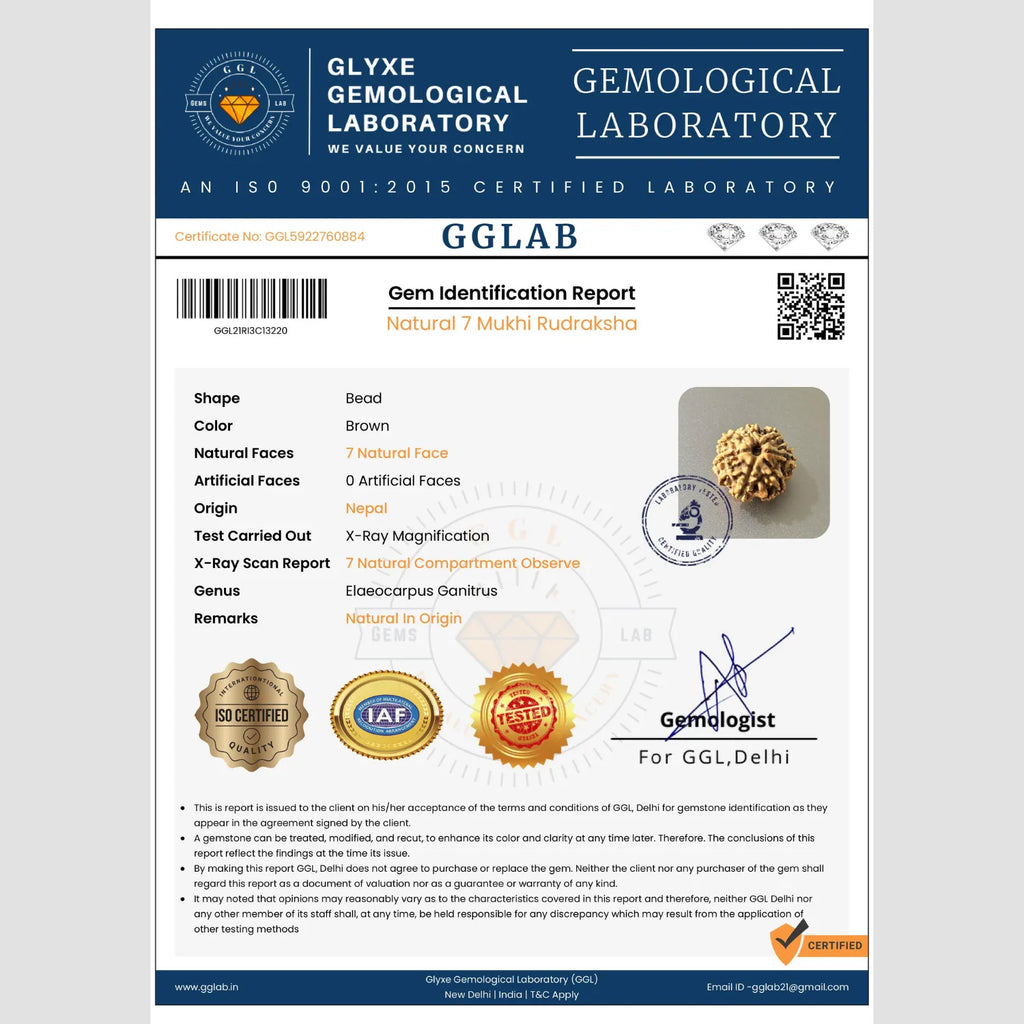 Mahakal Siddh Nepal Origin 7 Mukhi Rudraksha