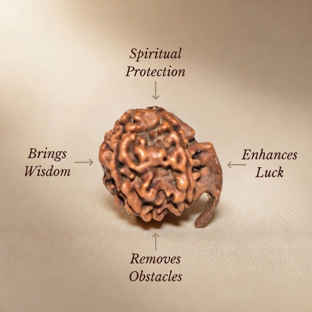 Mahakal Siddh Nepal Origin Ganesh Mukhi Rudraksha