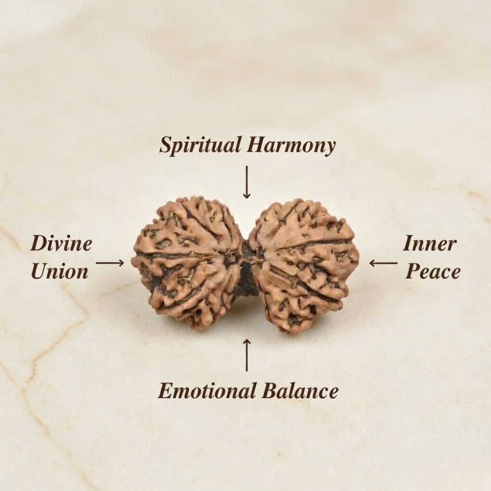 Mahakal Siddh Nepal Origin Gouri Shankar Rudraksha