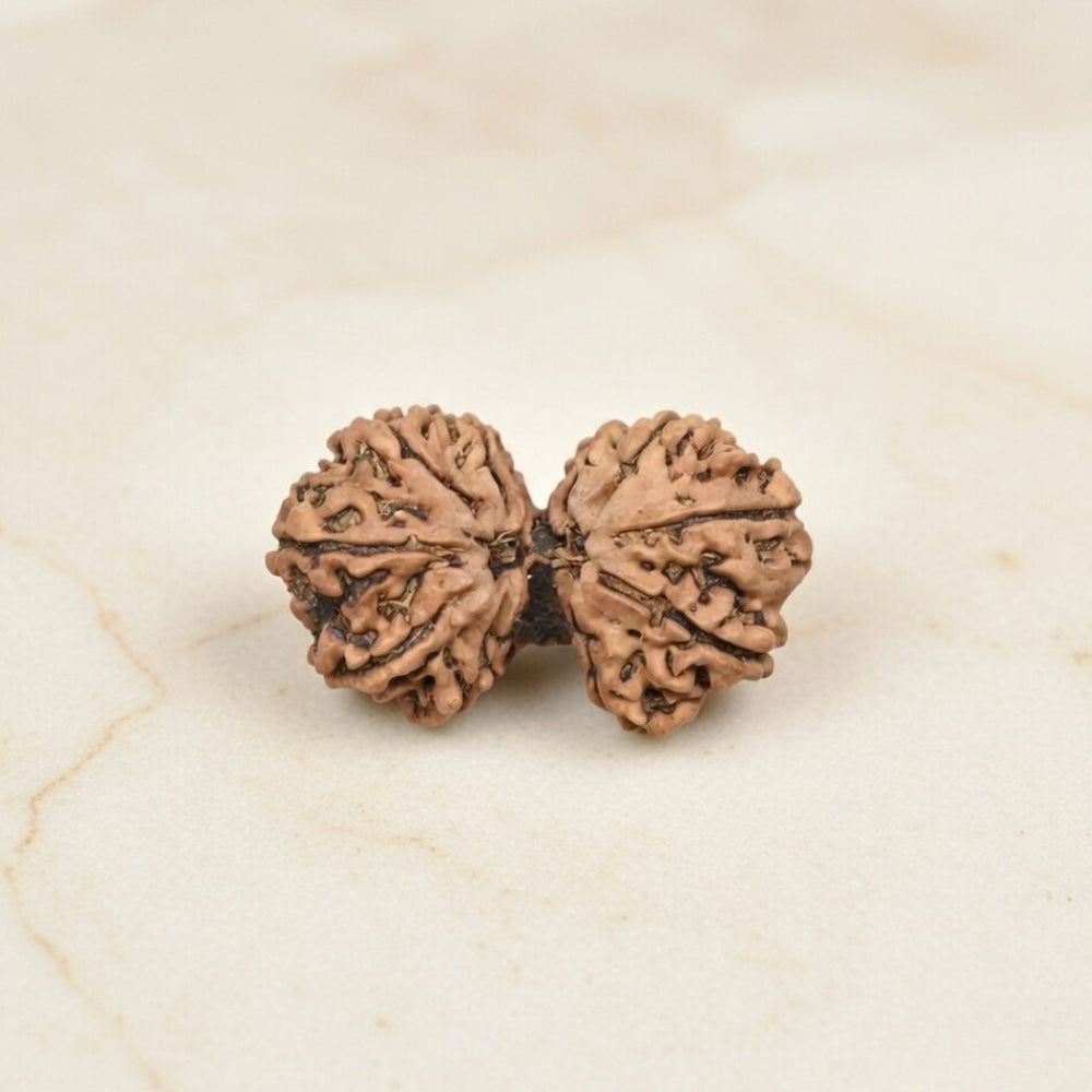 Mahakal Siddh Nepal Origin Gouri Shankar Rudraksha