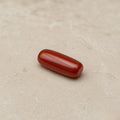 Red Coral Cylindrical (Moonga)