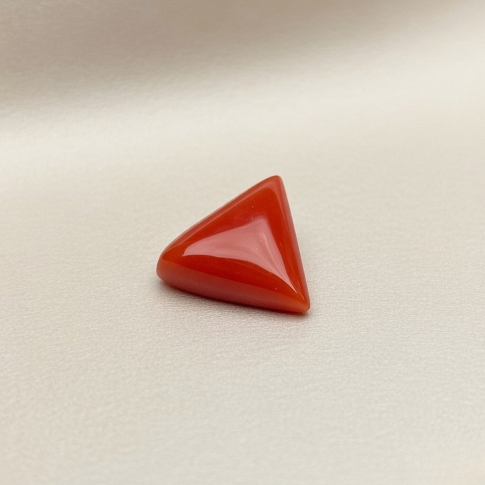 Red Coral Triangular (Moonga)