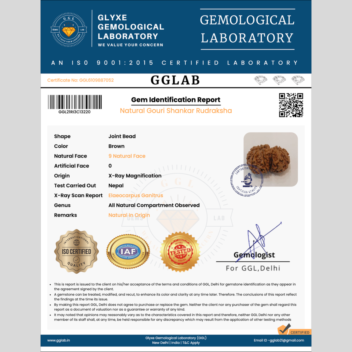 Mahakal Siddh Nepal Origin Gouri Shankar Rudraksha