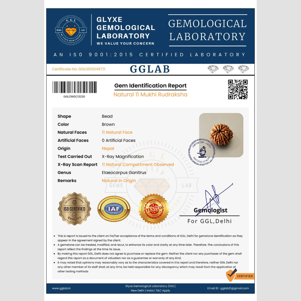 Mahakal Siddh Nepal Origin 11 Mukhi Rudraksha