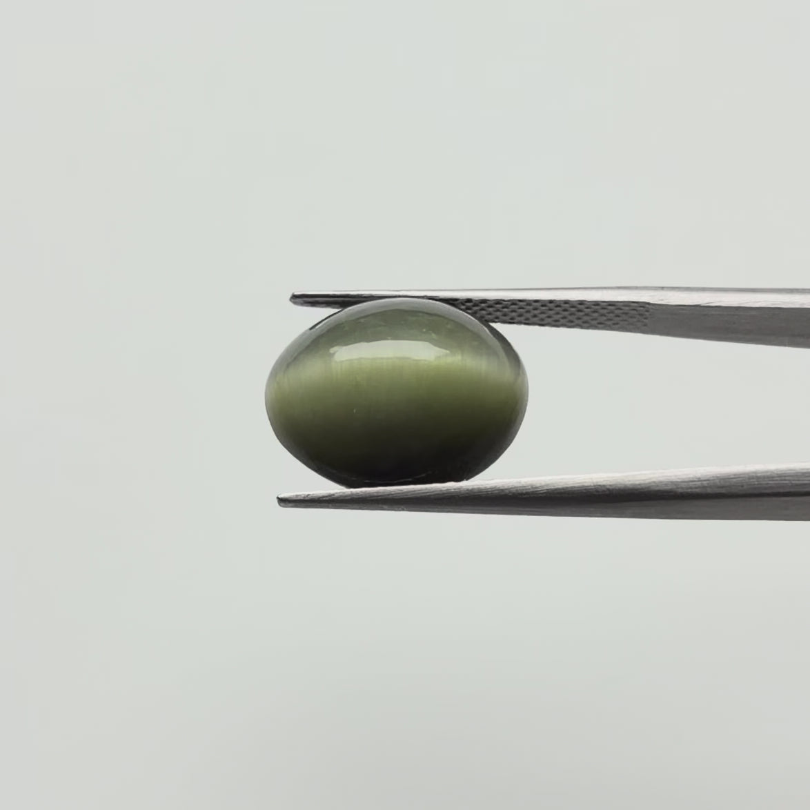 Cat's Eye (Lehsuniya)