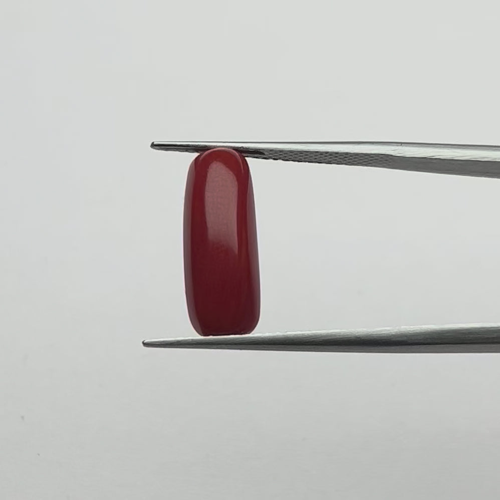 Red Coral Cylindrical (Moonga)