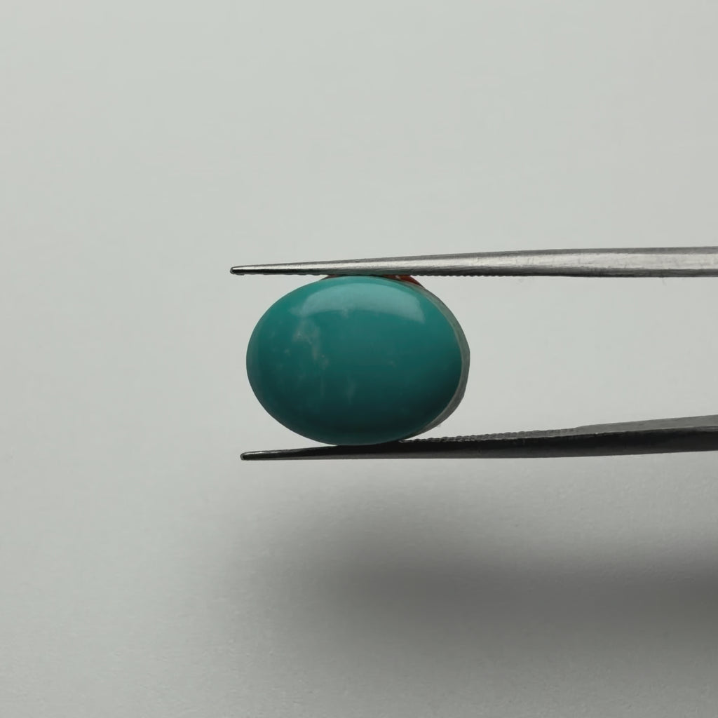 Turquoise (Firoza)
